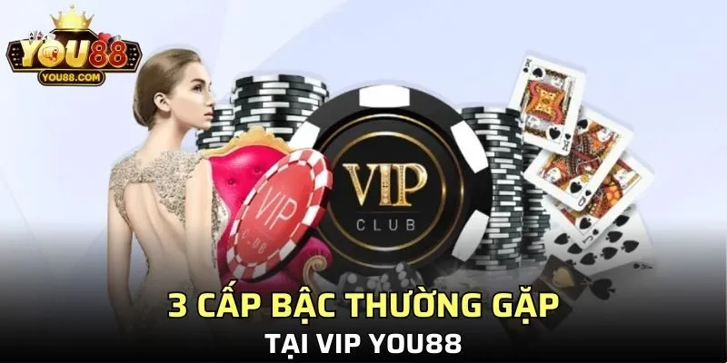 3 cấp bậc thường gặp tại VIP YOU88