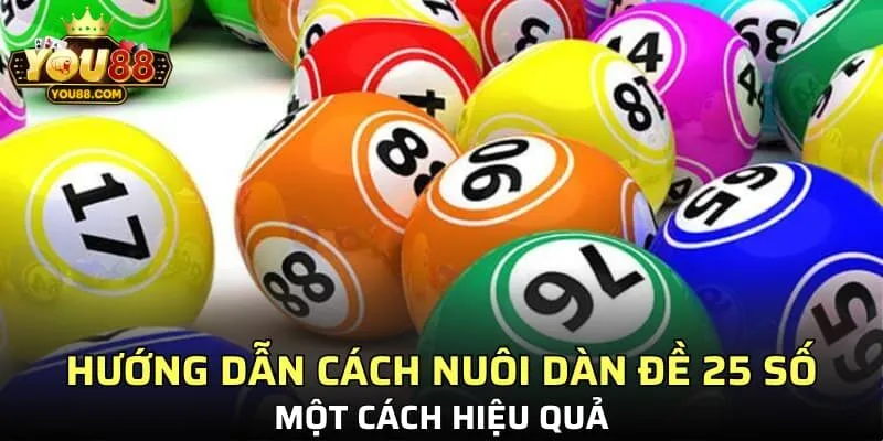 Hướng dẫn cách nuôi dàn đề 25 số một cách hiệu quả