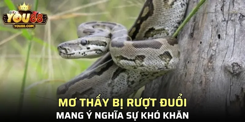 Mộng thấy bị rượt đuổi mang ý nghĩa sự khó khăn