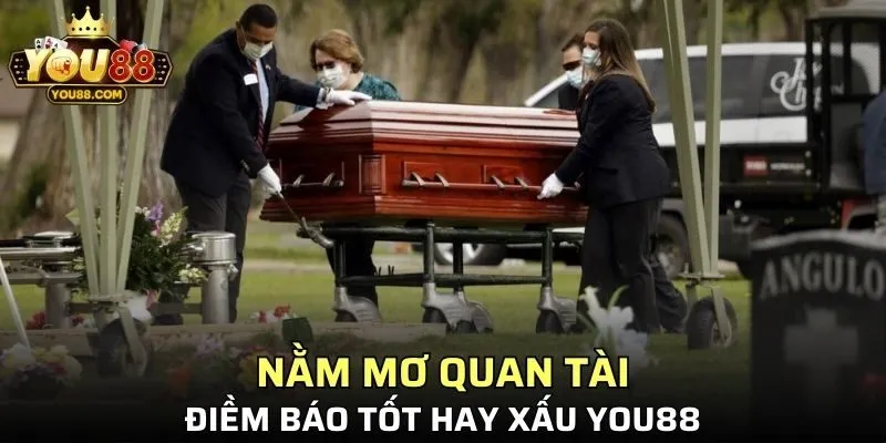 Nằm mơ thấy quan tài không hẳn là điềm báo xấu