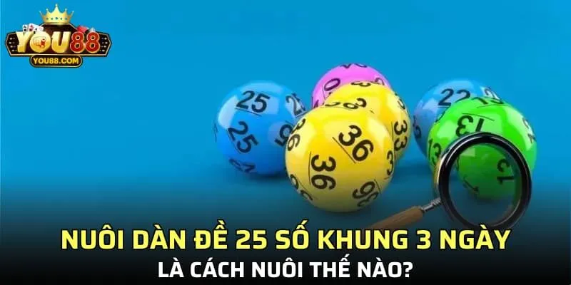 Nuôi dàn đề 25 số khung 3 ngày là cách nuôi thế nào?