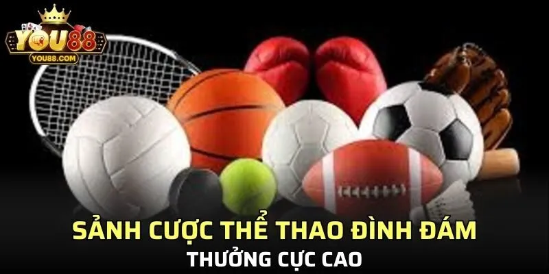 Sảnh cược thể thao đình đám, thưởng cực cao