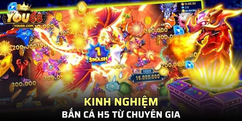 Tổng hợp các phương pháp bắn cá hiệu quả từ chuyên gia trực tuyến