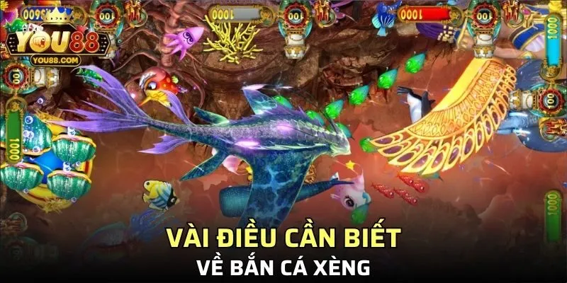 Vài điều cần quan tâm về Bắn cá xèng