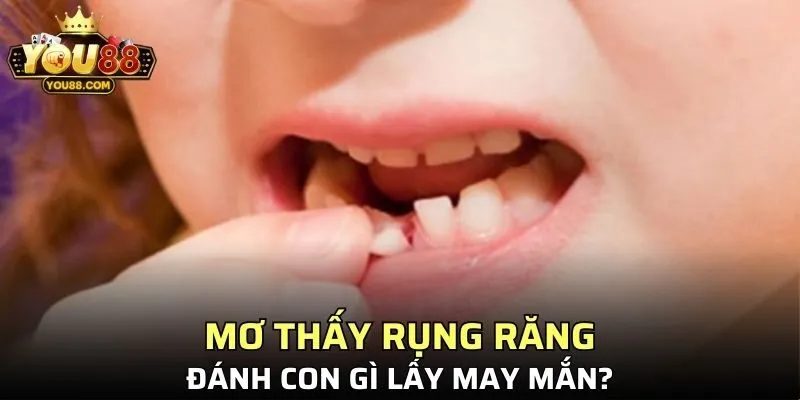 YOU88 tổng hợp thông tin sổ mơ ngắn gọn và cực kỳ dễ hiểu